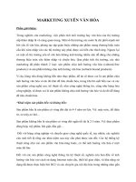 MARKETING XUYÊN VĂN HÓA.doc
