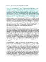 Chấn hưng tập đoàn bằng chiến lược tiếp thị.doc