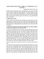 kinh tế đối ngoại nước ta hiện nay tinh hình và các giải pháp.doc