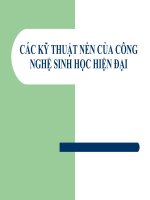 Khái niệm - Công nghệ DNA