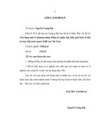 Vận dụng một số phương pháp thống kê phân tích hiệu quả kinh tế của đầu tư trực tiếp nước ngoài (FDI) tại Việt Nam.pdf