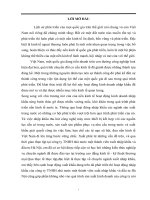 Hoạt động Nhập khẩu của công ty TNHH Nhà nước một thành viên Xuất nhập khẩu và Đầu tư Hà Nội.DOC