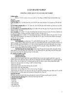 LUẬT DOANH NGHIỆP