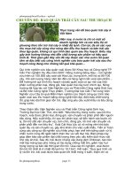 Bảo quản rau quả