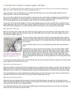 7 căn bệnh lớn về quản trị doanh nghiệp Việt Nam.doc