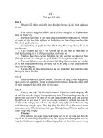 Đề thi tuyển vào ngân hàng Phát triền nông nghiệp