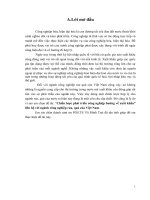 Chiến lược phát triển công nghiệp hướng về xuất khẩu - liên hệ với ngành công nghiệp rau, quả của Việt Nam