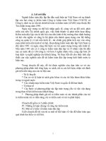 công ty kiểm toán Công ty kiểm toán Việt Nam (VACO) và Công ty dịch vụ tư vấn tài chính kế toán và kiểm toán (AASC)