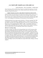 Thuốc rối loạn cương