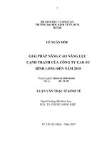 Giải pháp nâng cao năng lực cạnh tranh của công ty cao su Bình Long đến năm 2015.pdf