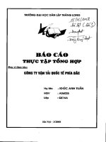 Báo cáo thực tập tại công ty vận tải Quốc tế phía Bắc.PDF