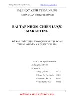 Giới thiệu công ty coffee Trung Nguyên và phân tích SBU.doc