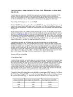 Thực trạng công ty chứng khoán tại Việt Nam - Thực tế hoạt động và những thách thức tiềm ẩn