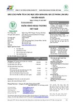 Báo cáo phân tích đấu giá VCB