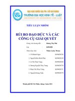 RỦI RO ĐẠO ĐỨC VÀ CÁC CÔNG CỤ GIẢI QUYẾT