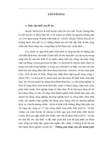 Những giải pháp chủ yếu nhằm phát triển kinh tế và xoá đói giảm nghèo ở huyện Chiêm Hoá - tỉnh Tuyên Quang
