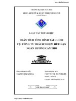 Phân tích tình hình tài chính tại công ty trách nhiệm hữu hạn Ngàn Hương - Cân Thơ.pdf