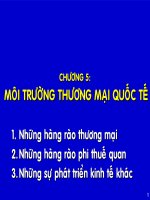 Slide bài giảng kinh doanh quốc tế - Chương 5