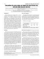 ảnh hưởng của hàm lượng xơ trong giai đoạn mang thai đến sức sinh sản của heo nái