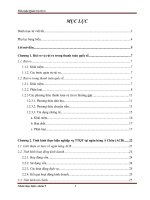 Các phương án để quản trị rủi ro khi thực hiện nghiệp vụ thanh toán quốc tế tại ngân hàng Thương mại Cổ phần Á Châu - ACB.docx