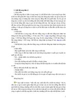 Chế độ song bản vị