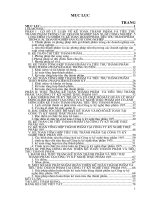 Hoàn thiện kế toán thành phẩm và tiêu thụ thành phẩm tại Công ty kỹ nghệ thực phẩm 195.DOC