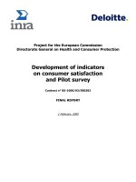 Development of indicators on consumer satisfaction and Pilot survey 