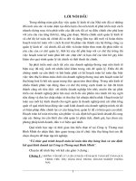 Tổ chức quá trình hoạch toán kế toán tiêu thụ hàng hoá và xác định kết quả kinh doanh tại Công ty Thương mại Bình Minh.DOC