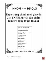 Thực trạng chính sách giá của công ty TNHH 3B với sản phẩm tăm tre nghệ thuật Biyuki (có kèm slide pp)