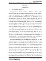 Phân tích hiệu quả hoạt động kinh doanh của doanh nghiệp tư nhân Vinh Thuận.pdf