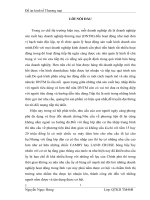 Chiến lược tiếp thị của TOYOTA Việt Nam