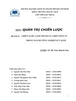 CHIẾN LƯỢC CẠNH TRANH CỦA MỘT CÔNG TY TRONG NGÀNH CÔNG NGHIỆP SUY GIẢM.doc