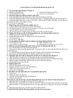 Ngân hàng câu hỏi môn kinh tế quốc tế