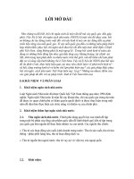 Bội chi ngân sách nhà nước.doc