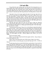 Kế toán nguyên vật liệu - công cụ dụng cụ tại Công ty Cao Su Đà Nẵng.doc