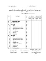 Báo cáo tăng giảm nguồn vốn dự trữ vật tư, hàng hóa 