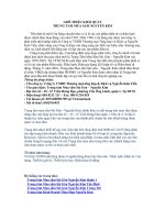 Phân tích chiến lược kinh doanh của Nguyễn Kim.doc