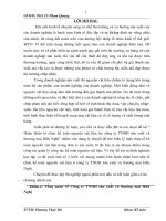 Hoàn thiện kế toán nguyên vật liệu tại Công Ty TNHH sản xuất và thương mại Hữu Nghị.docx
