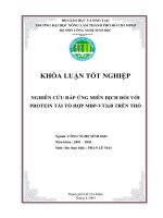 NGHIÊN CỨU ĐÁP ỨNG MIỄN DỊCH ĐỐI VỚI PROTEIN TÁI TỔHỢP MBP-VT2eB TRÊN THỎ