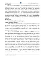 Bài tập học kỳ tố tụng hình sự