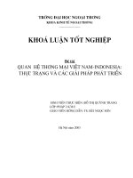 Quan hệ thương mại Việt Nam - Indonesia thực trạng và giải pháp phát triển.doc
