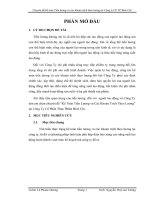 Chuyên đề kế toán Tiền lương và các khoản trích theo lương tại Công ty CP TP Bích Chi.doc