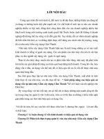 Giải pháp nâng cao hiệu quả sử dụng vốn tại nhà máy Gốm xây dựng Cẩm Thanh.doc