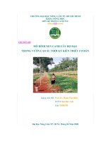  Mô Hình Xen Canh Cây Họ Đậu Trong Vườn Cao Su