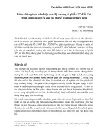 Kiểm chứng tính hữu hiệu của thị trường cổ phiếu TP. Hồ Chí Minh dưới dạng yếu của giả thuyết thị trường hữu hiệu.pdf