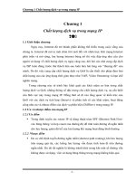 (Ket hop DIFFSERV va MPLS trong viec dam bao chat luong dich vu chương 1