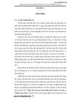 Phân tích hiệu quả hoạt động kinh doanh tại công ty TNHH Loan Trâm.pdf