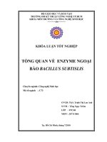 Tổng quan về enzyme ngoại bào Bacillus subtilis  01