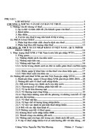 Quá Trình Hoàn Thiện Thuế Quan của Việt Nam.pdf