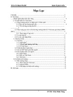 Phát triển kinh tế Việt Nam theo hướng bền vững.doc